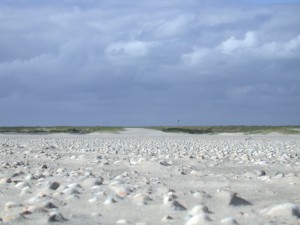Sandy path